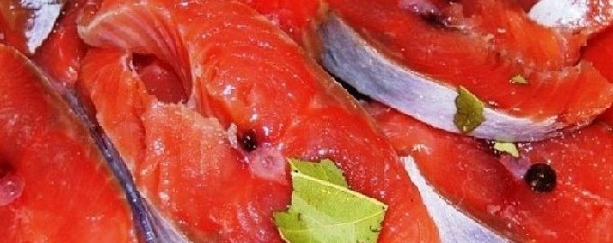 Comment mariner du saumon rose à la maison rapidement et savoureux